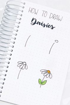 a spiral notebook with the words how to draw daisies on it