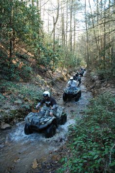 four people on four wheelers riding through the water in an area with trees and bushes