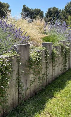 muret de soutènement en bois verticaux, végétation méditerranéenne résistante à la sècheresse Deck Design Ideas Layout, Backyard Deck Ideas, Creative Backyard, Spanish Home Decor, Rustic Fence, Eco Garden, Fence Garden, Garden Decor Diy, Beautiful Outdoor Spaces