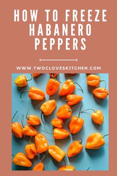 how to freeze habanero peppers with the text overlay that reads, how to freeze habanero peppers