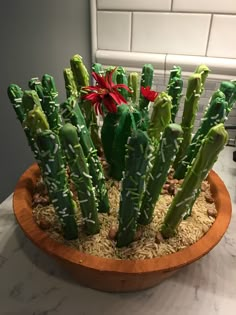 a cactus plant with green stems and white sprinkles in a wooden bowl