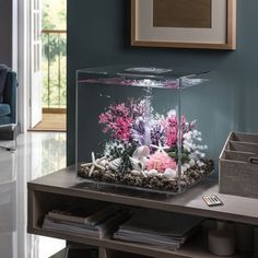 a fish tank with corals and seaweed in it sitting on a coffee table