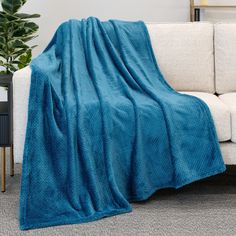 a couch with a blue blanket on top of it next to a potted plant