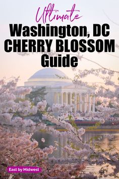 the washington, dc cherry blossom guide is shown in front of blooming trees and water