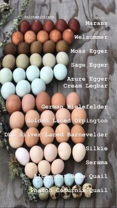 an arrangement of eggs on a table with the names in each egg, and different colors