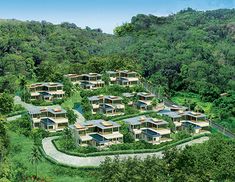 an aerial view of the resort surrounded by lush green trees and greenery, with many rooms on each side