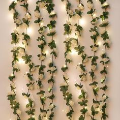 some white flowers and green leaves are hanging on a wall with lights in the background