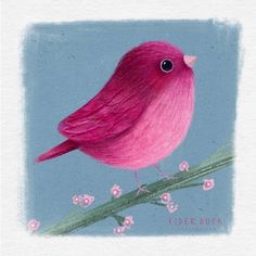 a pink bird sitting on top of a green branch with flowers in it's beak