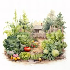 an illustration of a vegetable garden with lots of vegetables