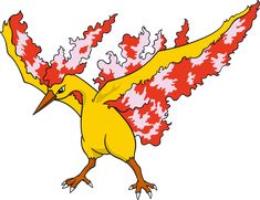 a yellow bird with red and white feathers on it's wings is flying in the air