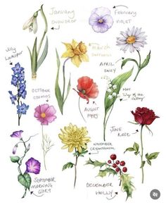 an image of flowers with names in english