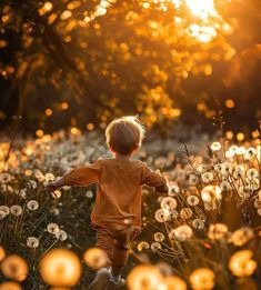 a little boy running through a field full of dandelions at sunset with the sun behind him