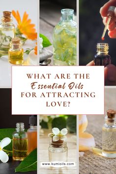 Attract love and positivity with Essential Oils for Attracting Love! Use blends like Neroli, Patchouli, and Jasmine to enhance self-love, attract new relationships, and deepen connections. Perfect for creating romantic and empowering atmospheres. 🌿💖  #EssentialOilsForLove #AttractingLove #EssentialOilBlends #EssentialOilRecipes #Aromatherapy #KumiOils #SelfLove #RomanticEnergy Oil Blends, Young Living Essential Oils, New Relationships