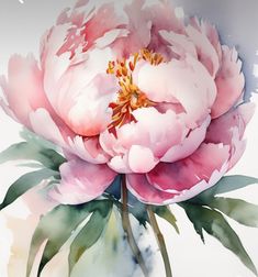 Peonies Art, Pink Peonies Art, Peonies Watercolor, Peony Drawing, Peony Watercolor, Watercolor Pencil Art, Abstract Art Projects, Peony Art, Watercolor Flowers Tutorial