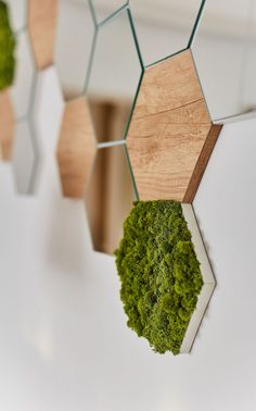 several pieces of wood and moss hanging from the ceiling