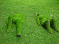 two sculptures made out of grass laying on the ground