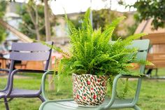 a potted plant sitting on top of a green chair next to a park bench