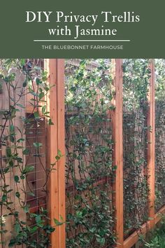 a wooden fence with vines growing on it and the words diy privacy trelliss with