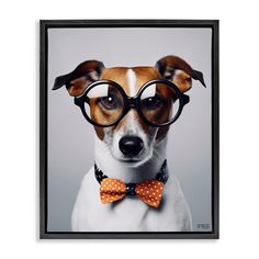 a dog wearing glasses and a bow tie