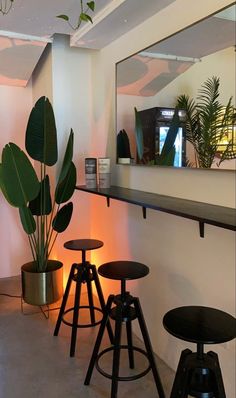 three stools in front of a mirror and some plants