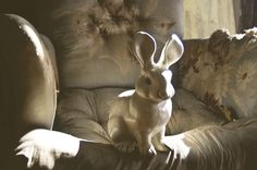 a white rabbit sitting on top of a couch