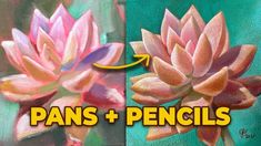 two pictures with the words pans and pencils in front of them, one has pink flowers on it