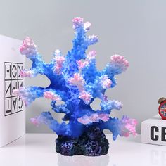 a blue and pink coral on top of a white table next to a red clock