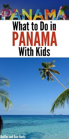 the cover of what to do in panama with kids, featuring palm trees and blue water