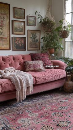 a living room with pink couches and rugs in front of pictures on the wall