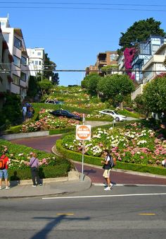 people are walking down the street in front of some houses and bushes with flowers on them