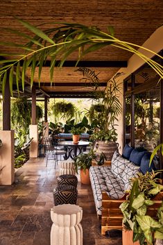 an outdoor living area with plants and furniture