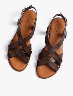 Buttercup Leather Sandal - Bitter Chocolate | Women's Shoes | Penelope Chilvers Brown T-strap Sandals With Removable Insole For Vacation, Brown T-strap Sandals With Adjustable Strap For Vacation, Leather Sandals With Round Toe For Travel, Leather Round Toe Sandals For Travel, Classic Sandals With Cushioned Footbed For Vacation, Leather Sandals With Cushioned Footbed For Travel, Classic Vacation Sandals With Cushioned Footbed, Elegant Sandals With Leather Lining For Vacation, Leather Sandals With Leather Footbed For Travel