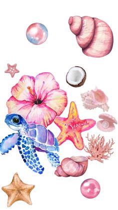 watercolor painting of seashells, starfish and shells on a white background