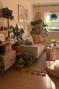 a living room filled with furniture and lots of plants on top of the windowsill