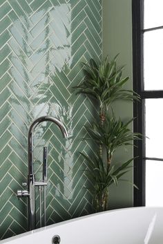 a bathroom with green tiles and a plant in the corner next to the bathtub