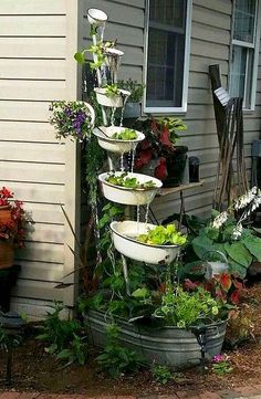 an assortment of potted plants in front of a house