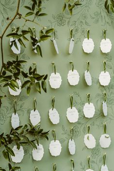 several pieces of paper hanging from hooks on a wall next to a plant with leaves