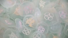 many jellyfish with pink and white designs on their body are floating in the water