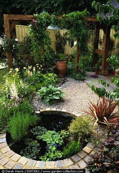 an outdoor garden with lots of plants and water