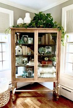 a wooden cabinet filled with lots of books and plants on top of a hard wood floor