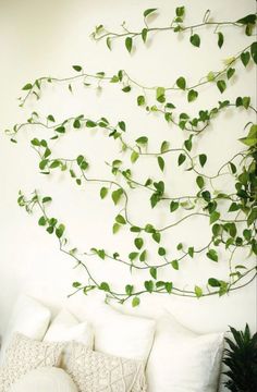 Dremisland 3pcs Artificial Hanging Plants-3.6ft Fake Ivy Vine Fake Ivy Leaves Faux Hanging Scindapsus Vine for Wall House Room Party Garden Indoor Outdoor Decoration (IvyAmazon.caHome home plants pothos garden aesthetic Pothos Wall Climbing, Climbing Pothos, Wall Ivy, Pothos Plants, Wall Climbing, Artificial Hanging Plants, Snow Blowers