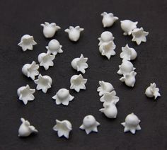 small white flowers sitting on top of a black table next to a measuring ruler with the measurements for each flower