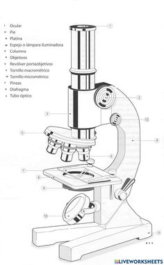 an image of a microscope with parts labeled in spanish and english on the bottom right hand corner