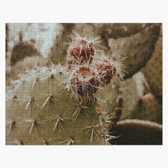 a jigsaw puzzle with a cactus on it