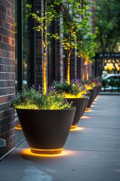 three large planters are lined up on the sidewalk