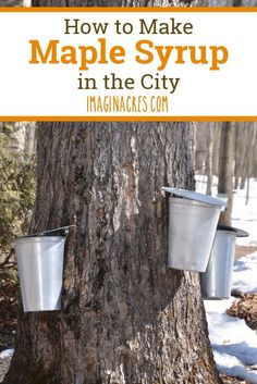 maple syrup in the city with text overlay that reads how to make maple syrup in the city