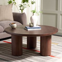 a living room with a couch, coffee table and potted plant