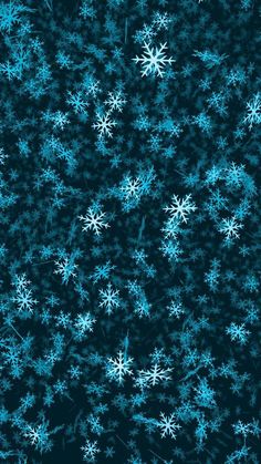 blue snowflakes on a black background