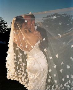 a bride and groom kissing under a veil with white butterflies on it's side