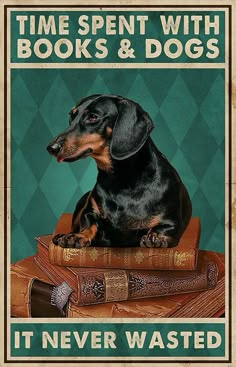 a dachshund sitting on top of books with the words time spent with books and dogs